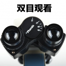 江西凤凰专业生物显微镜XSP-36 双目 1600倍 学生便携 医院/养殖