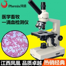 江西凤凰XSP-35TV-640/1600倍学生便携专业生物显微镜可接电脑USB
