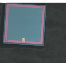 光纤通信/传感/测距/可见光至近红外领域用HS101硅PIN光电二极管